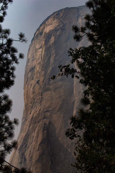 8-20-20-CA-Yosemite-1364