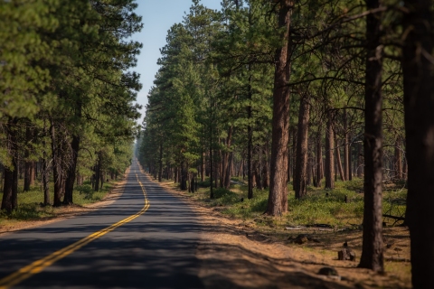 9-2-2020-OR-IMG_33083308