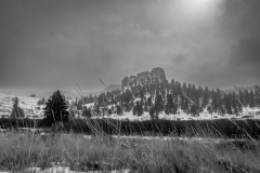 2-19-22-Colorado-RIK13533-2