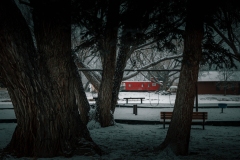 2-19-22-Colorado-RIK13579-14