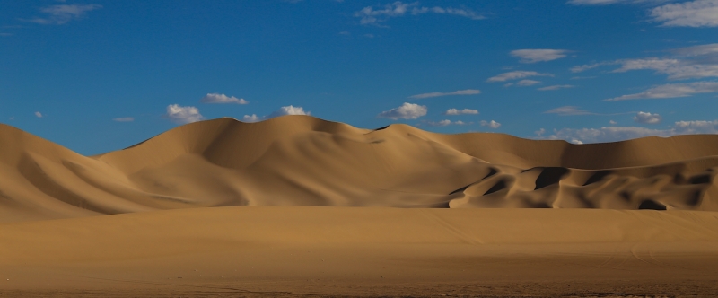 Dune