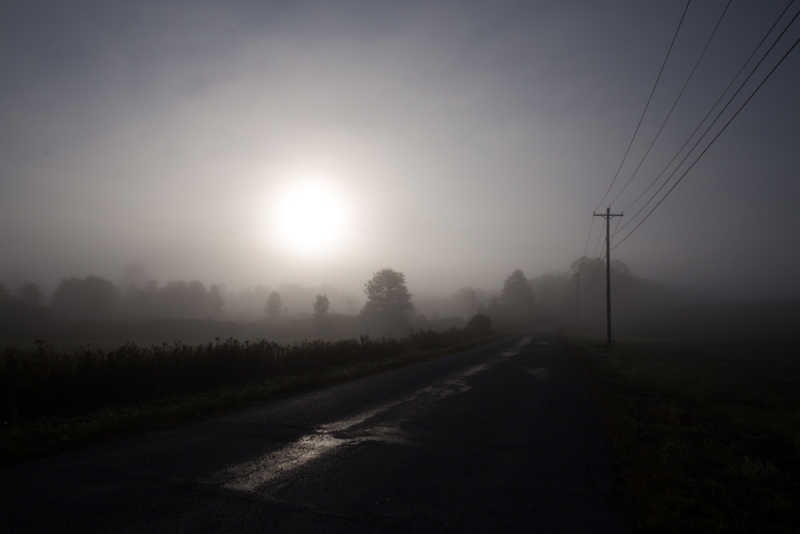 Farmers-Morning