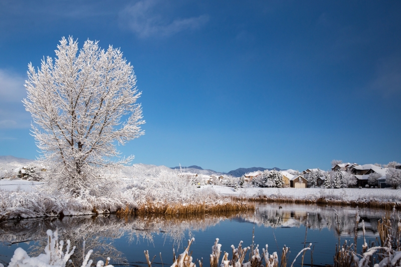 Magical-Winter