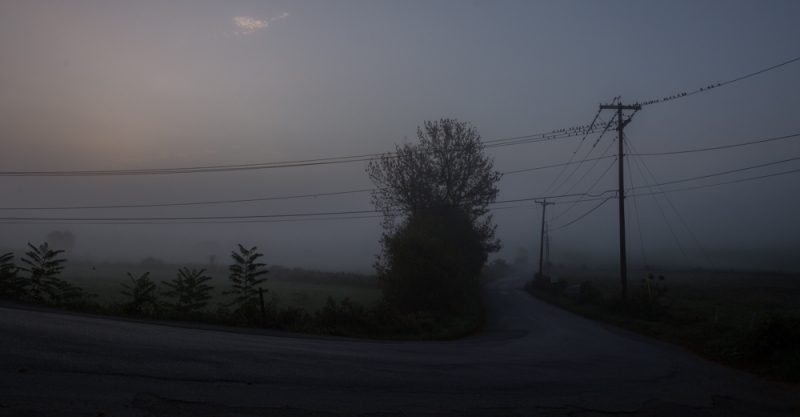 Warwick-Morning