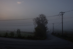 Warwick-Morning