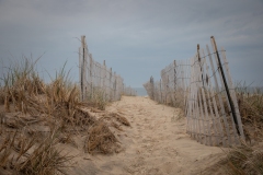 Cupsogue-Park-9479