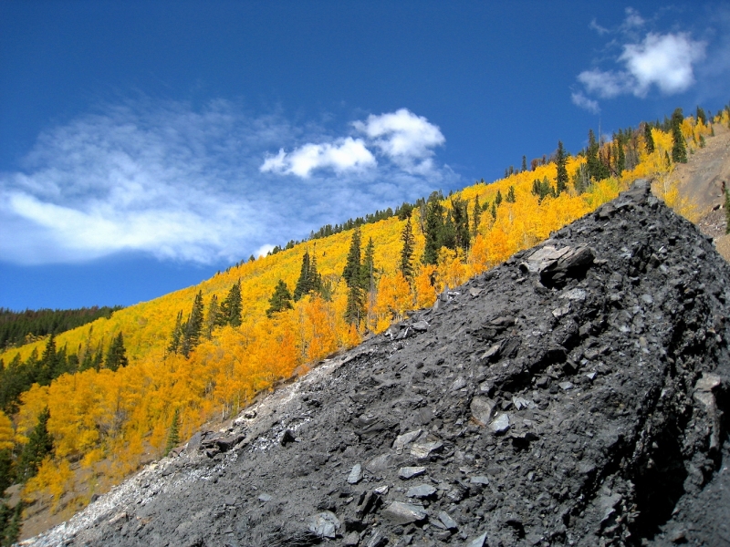 Aspen-Gold
