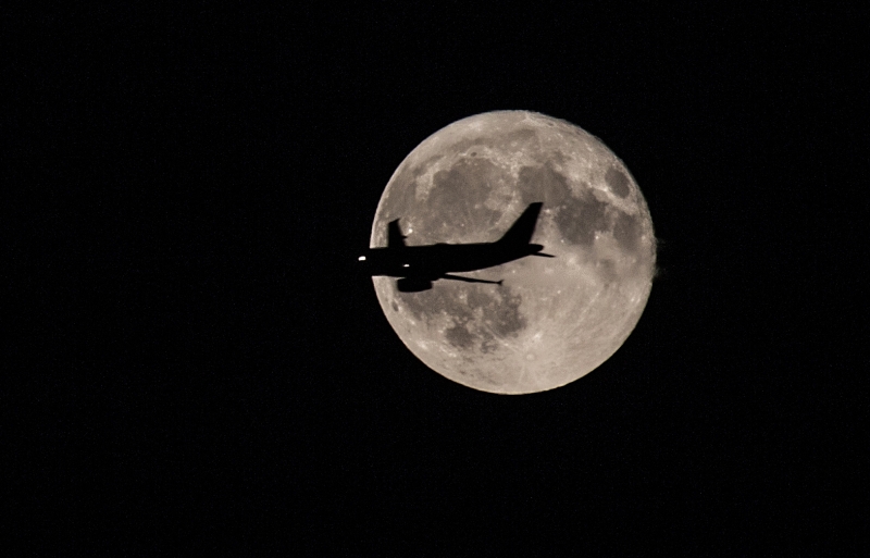 Fly-Me-To-The-Moon