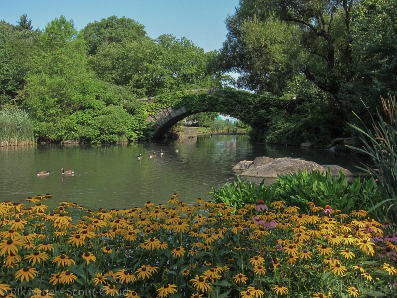 Gapstow-Bridge-Summer