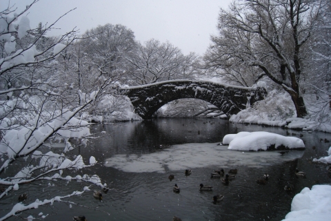 Gapstow-Winter
