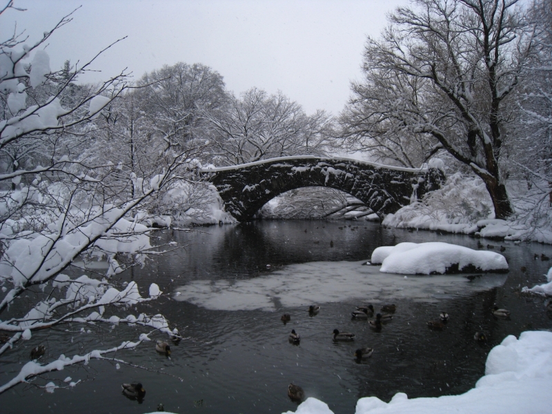 Gapstow-Winter