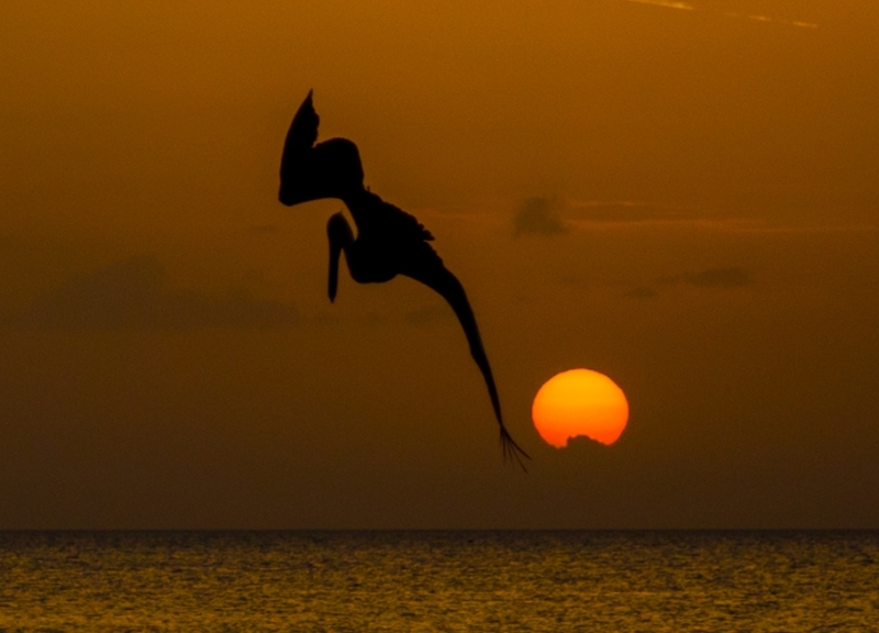 Holbox-Mexico