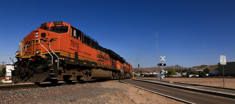 Kingman-Train