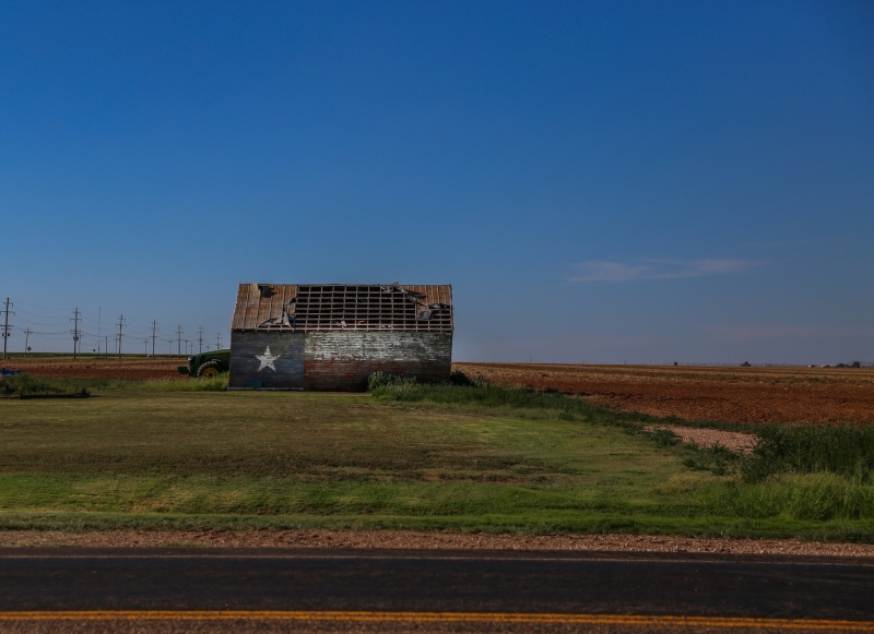 Muleshoe
