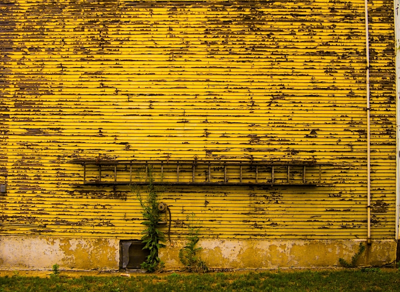 Pittsburgh-Yellow