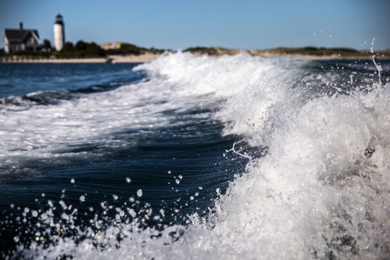 Wake