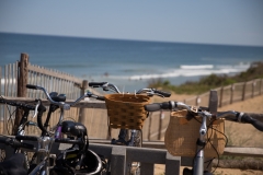 Cape-Bicycles
