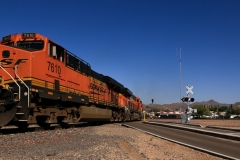 Kingman-Train