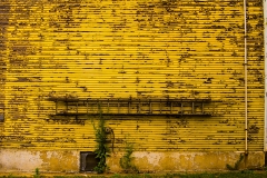 Pittsburgh-Yellow