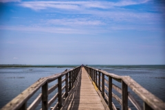 Water-Walk